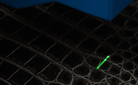 ３Ｄスキャナー