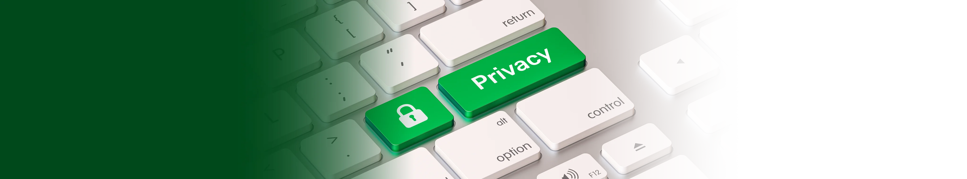 privacyPolicy.page.imageAlt